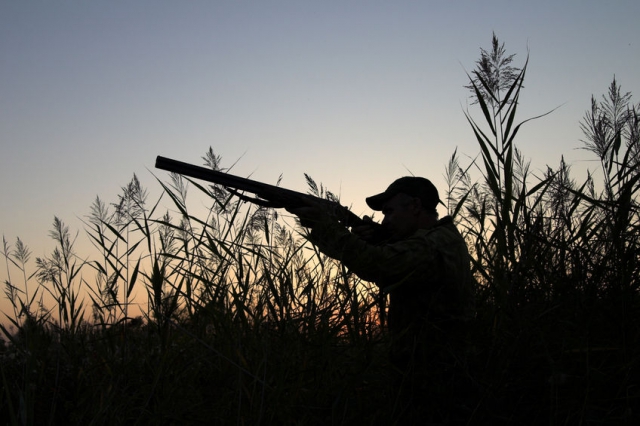 Chasse privée en Dordogne